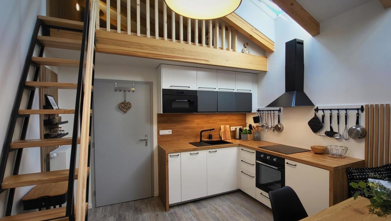 Loft Rezidence Vista Apartment Rokytnice nad Jizerou Exterior photo